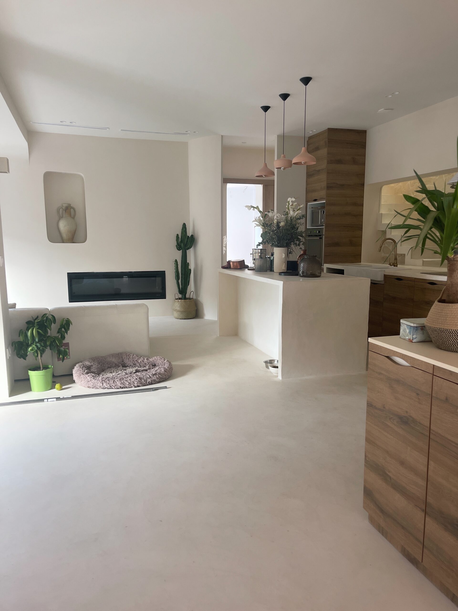 projet jude reno totale